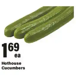 Big Y Hothouse Cucumbers offer
