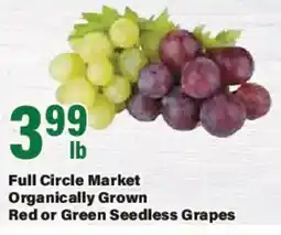 Big Y Full Circle Market Organically Grown Red or Green Seedless Grapes offer