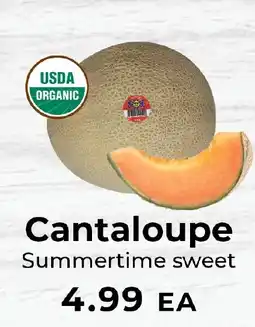 Sunset Foods Cantaloupe offer