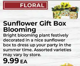 Sunset Foods Sunflower Gift Box Blooming offer