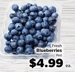 Living Fresh Market Fresh Blueberries offer