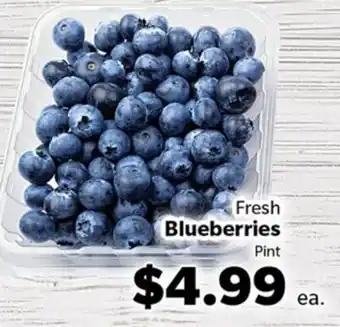Living Fresh Market Fresh Blueberries offer