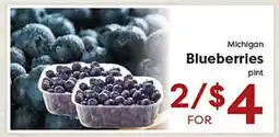 Rich's Fresh Market Michigan Blueberries offer