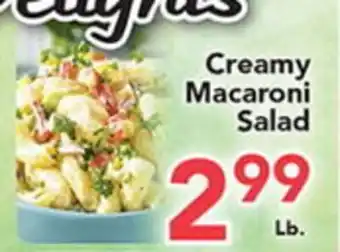 Eurofresh Market Creamy Macaroni Salad offer