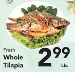Eurofresh Market Fresh Whole Tilapia offer