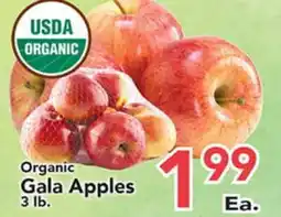 Eurofresh Market Organic Gala Apples offer