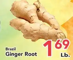 Eurofresh Market Brazil Ginger Root offer