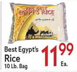 World Fresh Market Best Egypt's Rice offer