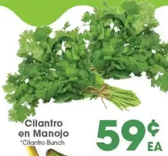 Arteagas Food Center Cilantro Bunch offer