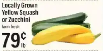 Locally Grown Yellow Squash or Zucchini