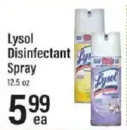 Lowes Foods Lysol Disinfectant Spray offer