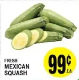 Arlan's Market Fresh Mexican Squash offer