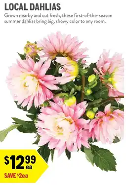 New Seasons Market Local Dahlias offer