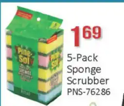 General Discount 5-Pack Sponge Scrubber offer
