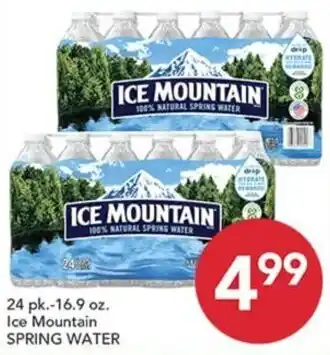 Pete's Fresh Market Ice Mountain spring water offer