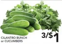 Pete's Fresh Market Cilantro Bunch or Cucumbers offer