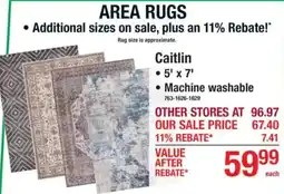Menards Caitlin area rug offer
