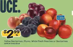 Winn Dixie Yellow Nectarines, Plums, White Flesh Peaches or Nectarines offer