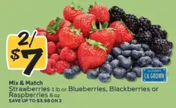 Winn Dixie Mix & Match Berries offer