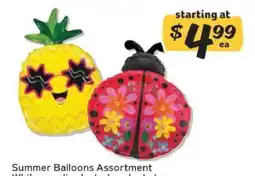 Winn Dixie Summer Balloons Assortment offer