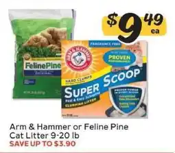 Winn Dixie Arm & Hammer or Feline Pine Cat Litter offer