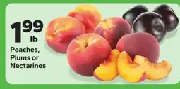 Save a Lot Peaches, Plums or Nectarines offer