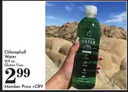 Pavilions Chlorophyll Water offer