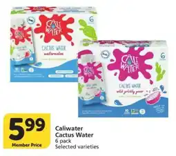 Vons Caliwater Cactus Water offer