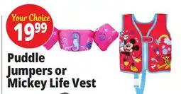 Ocean State Job Lot Stearns Puddle Jumper Kids Seahorse Life Jacket offer