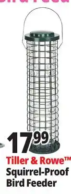 Ocean State Job Lot Tiller & Rowe Squirrel-Proof Bird Feeder offer