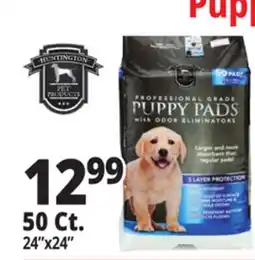 Ocean State Job Lot PROFESSIONAL GRADE PUPPY PADS WITH ODOR ELIMINATORS offer