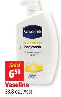 Ocean State Job Lot Vaseline offer