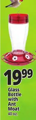 Ocean State Job Lot Glass Bottle with Ant Moat offer