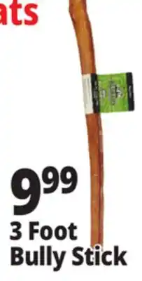Ocean State Job Lot 3 Foot Bully Stick offer