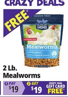 Ocean State Job Lot Hungry Hens Mealworms 2 lbs offer