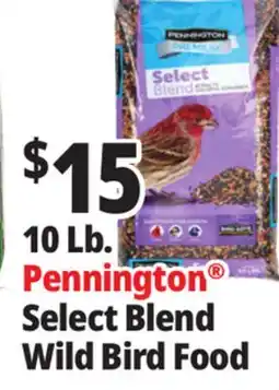 Ocean State Job Lot Pennington Premium Select Blend Bird Seed 10 lb offer