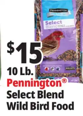 Ocean State Job Lot Pennington Premium Select Blend Bird Seed 10 lb offer