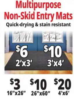 Ocean State Job Lot Non-Skid Entry Mats offer