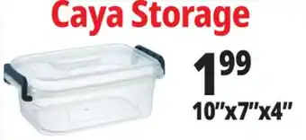 Ocean State Job Lot Caya Storage offer