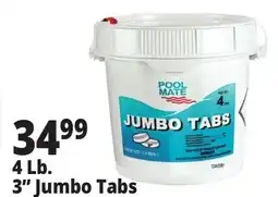Ocean State Job Lot 4 Lb. 3˝ Jumbo Tabs offer