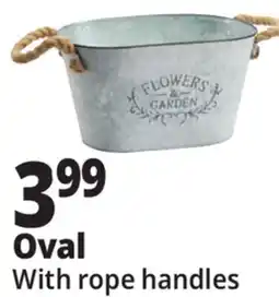 Ocean State Job Lot Galvanized Oval Planter with Rope Handles offer