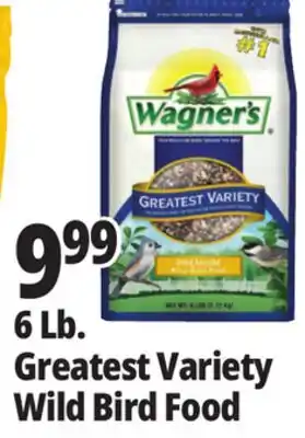 Ocean State Job Lot 6 Lb. Greatest Variety Wild Bird Food offer