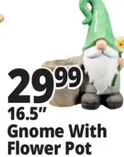 Ocean State Job Lot Gnome With Flower Pot offer