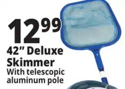 Ocean State Job Lot 42 Deluxe Skimmer offer