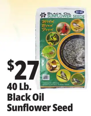Ocean State Job Lot 40 Lb. Black Oil Sunflower Seed offer