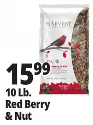 Ocean State Job Lot Harvest Seed & Supply Red Berry & Nut Wild Bird Food 10 lb offer