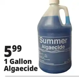Ocean State Job Lot 1 Gallon Algaecide offer