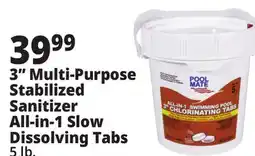 Ocean State Job Lot 3 Multi-Purpose Stabilized Sanitizer All-in-1 Slow Dissolving Tabs offer