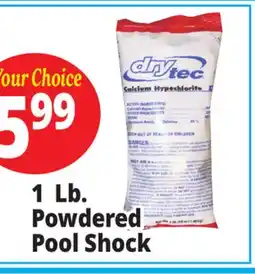 Ocean State Job Lot 1 Lb. Powdered Pool Shock offer