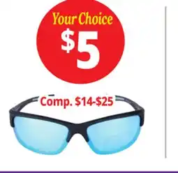 Ocean State Job Lot Sunglasses offer